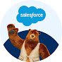 Salesforce Developers