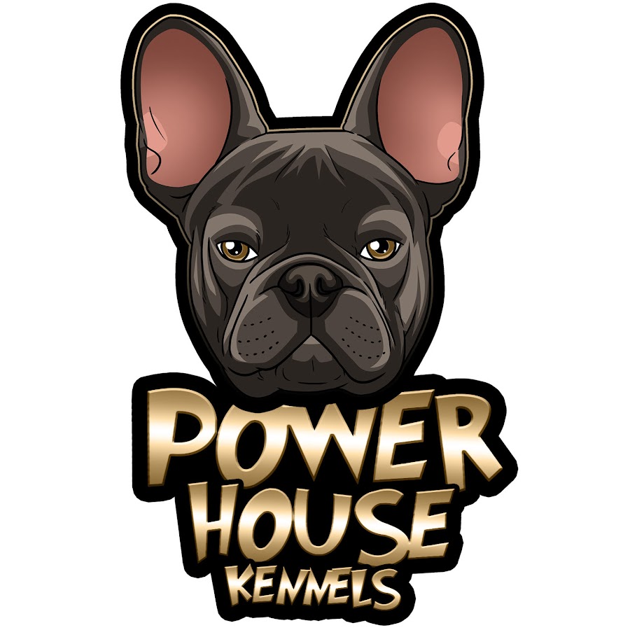 Power 2024 house kennel