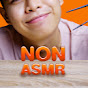 NON ASMR