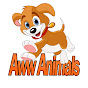 Aww Animals youtube avatar