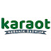 logo Karaot Köyü