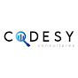 CodesyConsultores