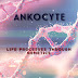 logo ANKOCYTE