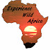 Experience Wild Africa