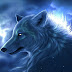 ICE-WOLF-3333