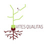 Vites Qualitas