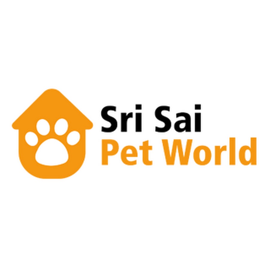 Demo Dog collar  Sri Sai Pet World