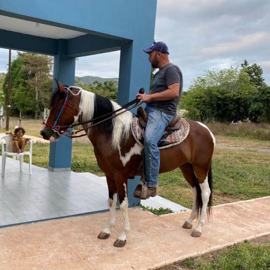 El Caballo y El Caballista @elcaballoyelcaballista1388