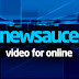 logo TheNewsauce