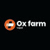 Ox farm