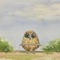 Teacher Owl