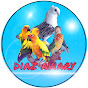 Diaz Aviary