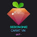 Sebongnie Carat VN