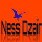 Ness Dzaïr