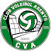 Club Voleibol Arenys