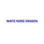 White Noise Dragon