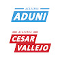 Academias Aduni y César Vallejo