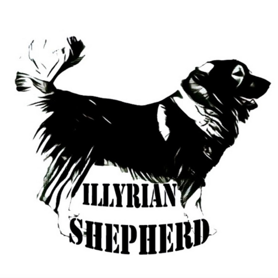 Illyrian Shepherd