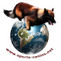 sportscanins