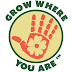 Grow Where You Are