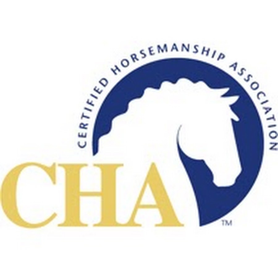 CHA Horse - YouTube