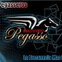 radiosonidopegasso