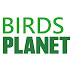 Birds Planet