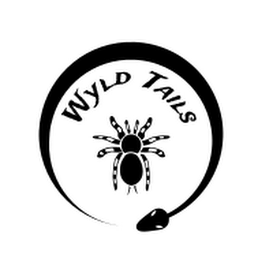 Wyld tails youtube