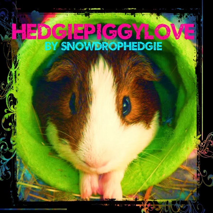 SnowdropHedgie