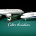 logo Color Aviation