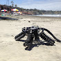 UC San Diego Bioinspired Robotics and Design Lab