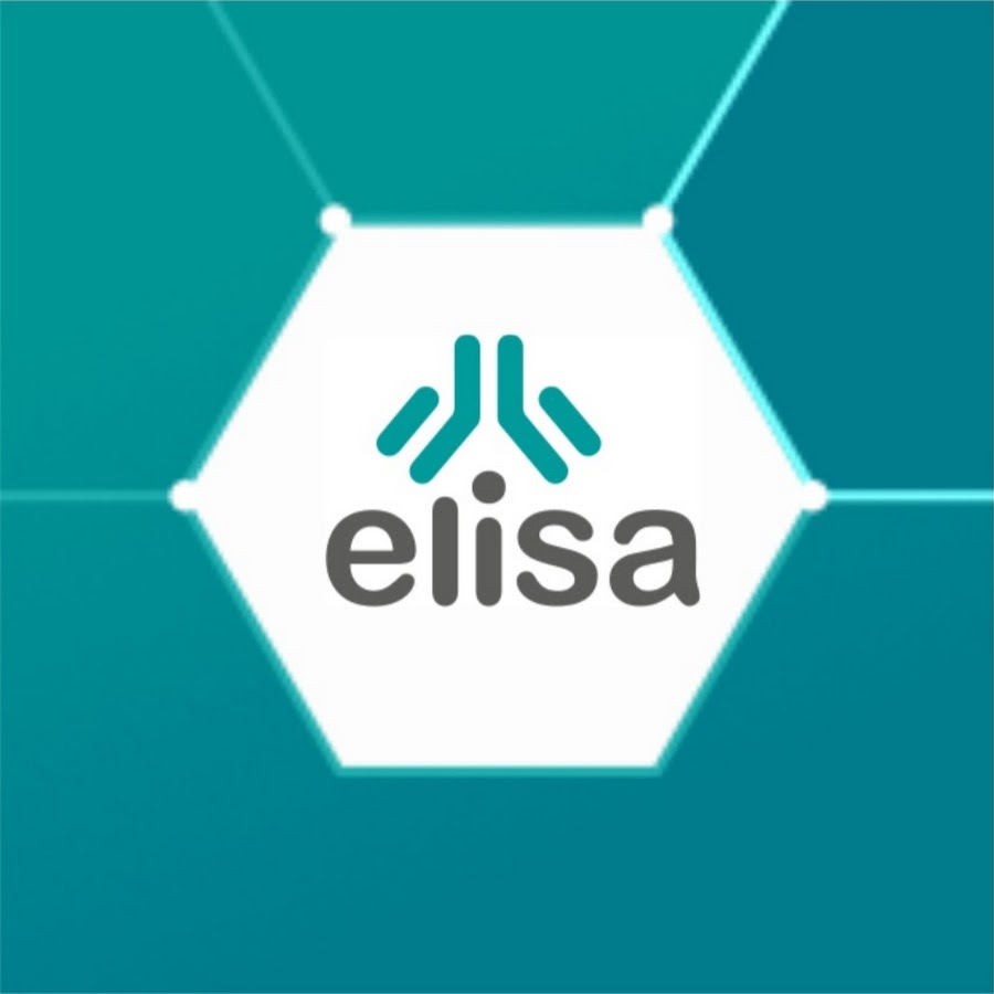 Elisa Sochi - YouTube