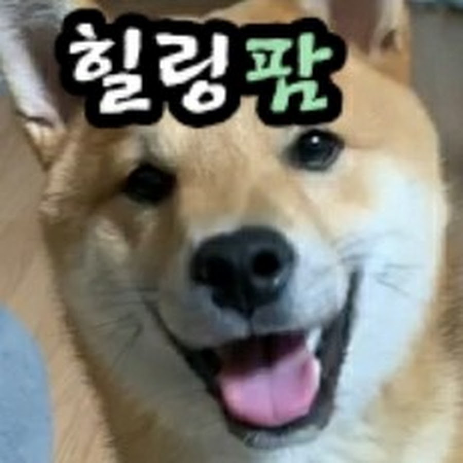 힐링팜Korean healing farm - YouTube 힐링팜Korean healing farm