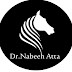 logo Nabeeh Mohammed Ata Jawad Algurabi