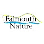 Falmouth Nature