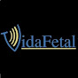 Vida Fetal