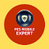 logo PES Mobile Expert