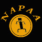 NAPAA Research