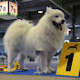 Noemie Samoyeds