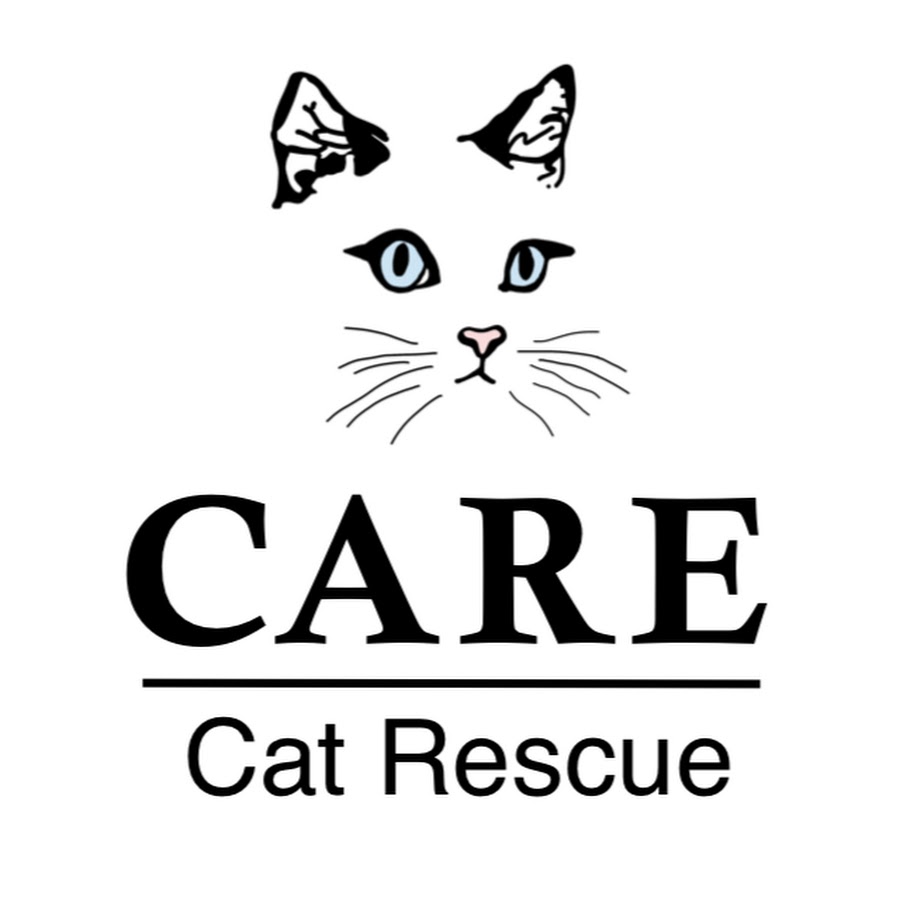 Care 2024 cat rescue