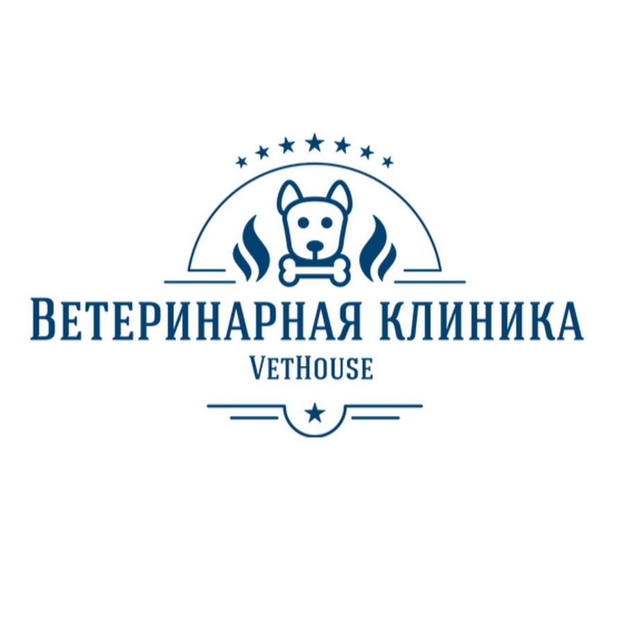 Ветеринарная Клиника VetHouse - Уфа - YouTube