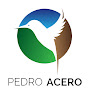 Pedro Acero