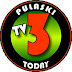 logo PTVT2011