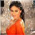logo Indi Bolly
