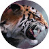 logo MDA*COMBAYNEOR