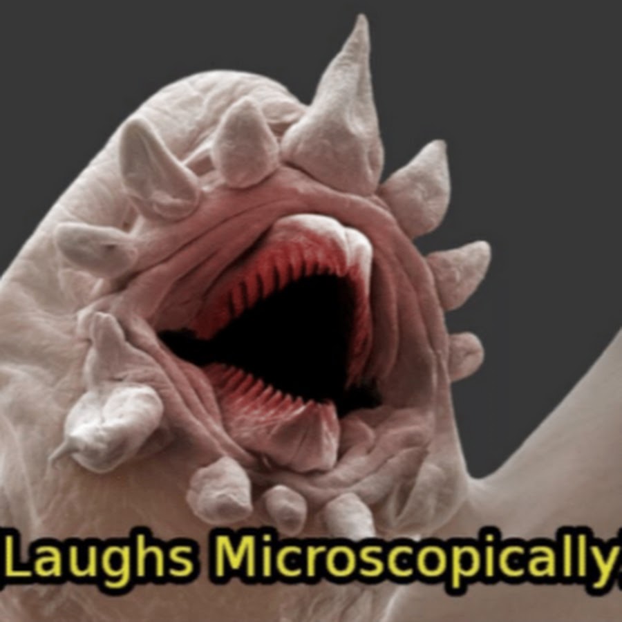 Laughs MicroscopicallyPL