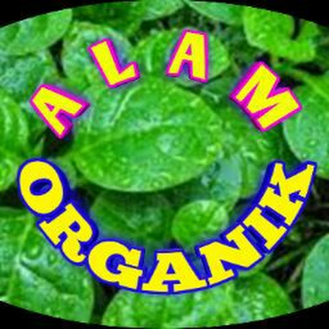 ALAMORGANIK