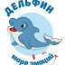 logo Детский лагерь Дельфин