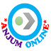 logo Anjum Online