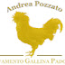 Gallina Padovana